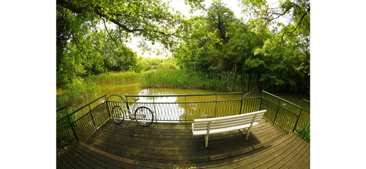 Viel Natur bei der Kur